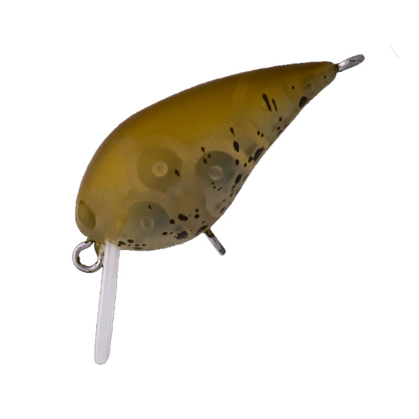 ＭＩＮＩ　ＫＵＲＡ　ＳＳ(＃１３　Ｋ茶)